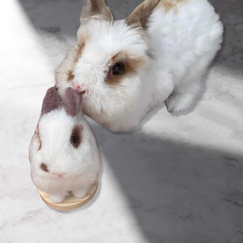 Custom Needle Felted Hare, Personalized Rabbit Gift, Finished Product with Free Gift Box - soufeelus