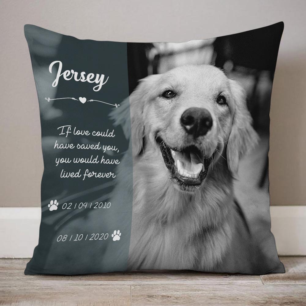 Pet Memorial Photo Pillow With Black And White Effect. Professional Photo Editing Included. Pillow Case Option Available. Pet Loss Gift - soufeeluk