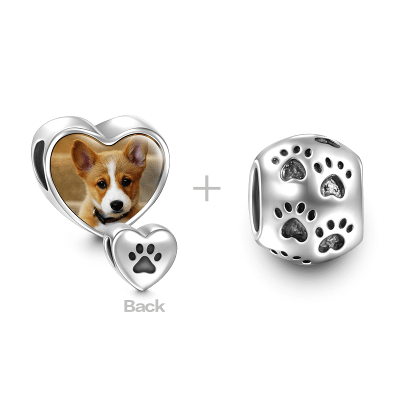 Haustier Pfotenabdruck Foto Set Silber