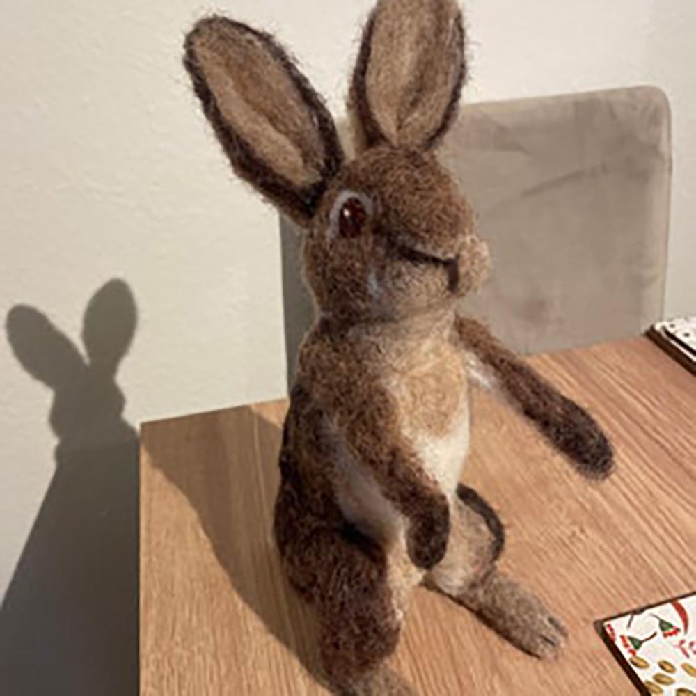 Benutzerdefinierte Nadel Gefilzter Hase, Personalisiertes Kaninchengeschenk, Fertiges Produkt Mit Kostenloser Geschenkbox - soufeelde