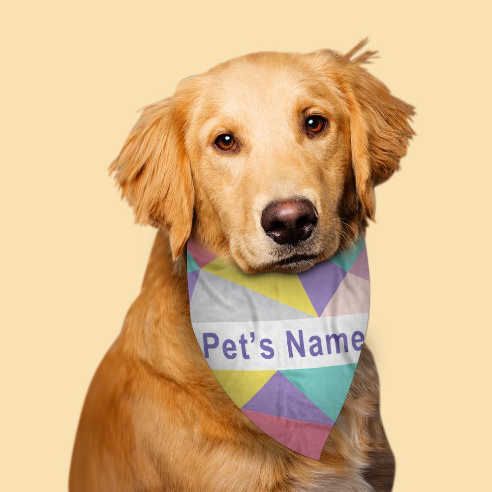 Regalo De Bufanda Para Mascotas Multicolor Grabado Personalizado