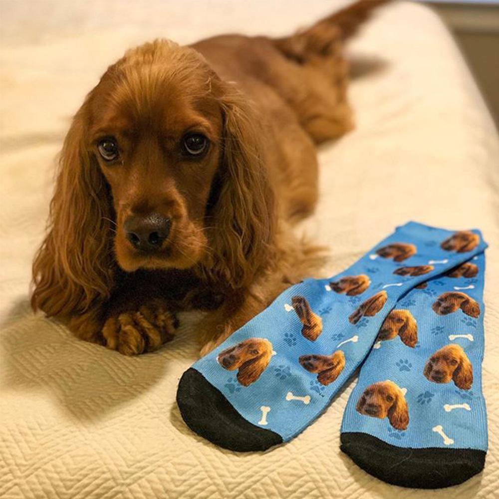 Calcetines con Foto Personalizados, Calcetines con Cara de Perro con Grabado