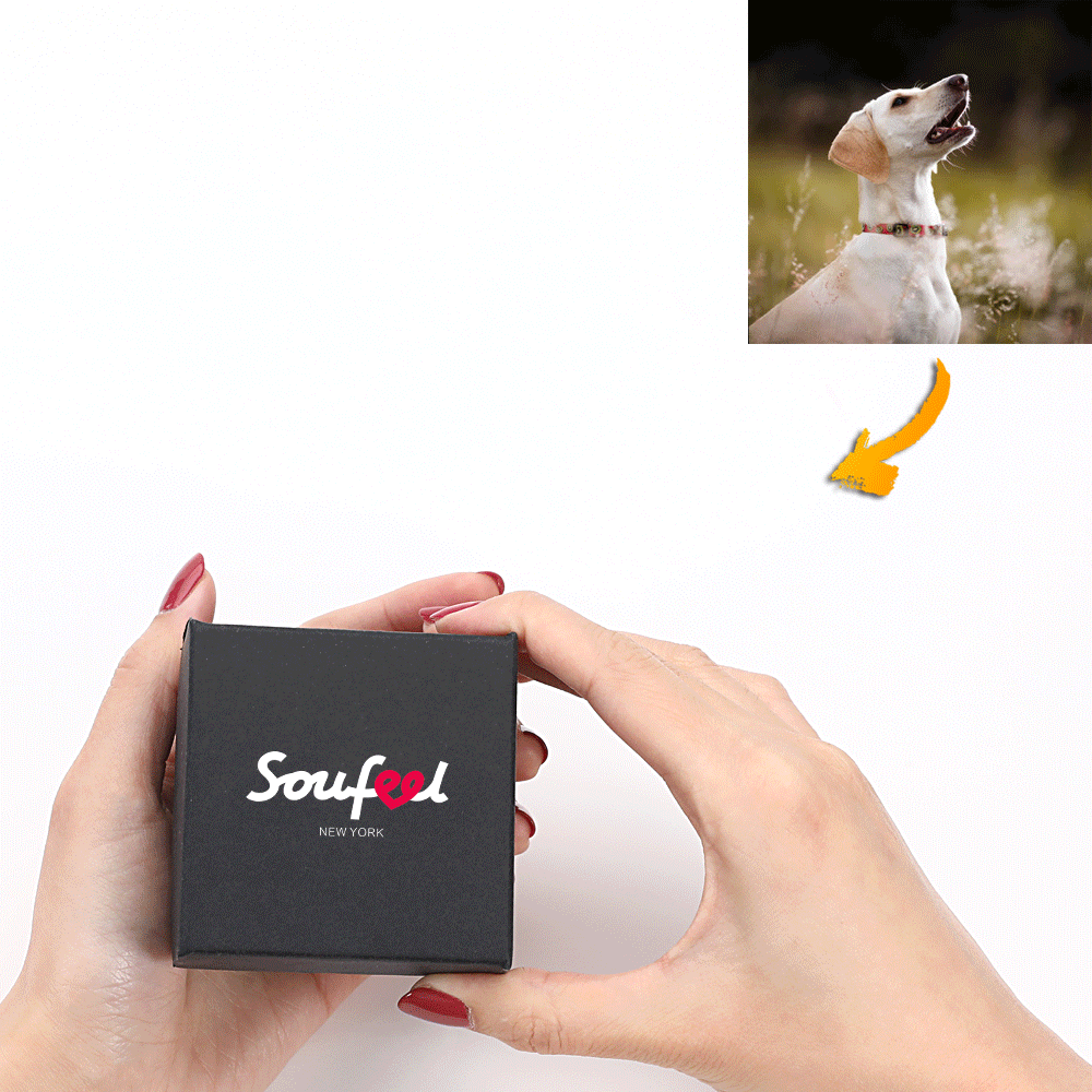 Foto Personalizada Soufeel Joyero Cinco Fotos Mascota Linda