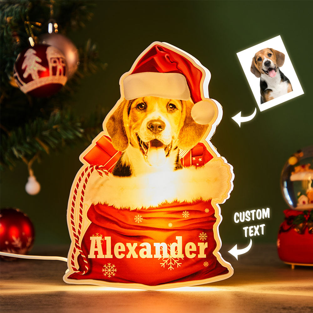 Lámpara De Cesta De Regalo De Navidad Con Foto Personalizada De Luz Nocturna Para Mascotas - soufeeles