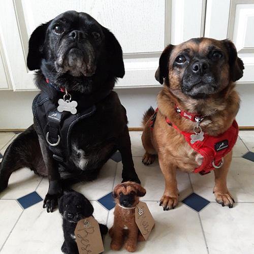 Retrato De Perro Hecho A Medida, Regalo De Pérdida De Mascotas Para Amantes De Perros Y Gatos, Producto Terminado Con Caja De Embalaje Exquisita - soufeeles