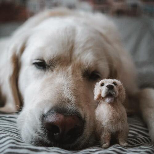 Portrait De Chien Sur Mesure, Cadeau De Perte D'animal De Compagnie Pour Les Amoureux Des Chiens Et Des Chats, Produit Fini Avec Boîte D'emballage Exquise - soufeelfr