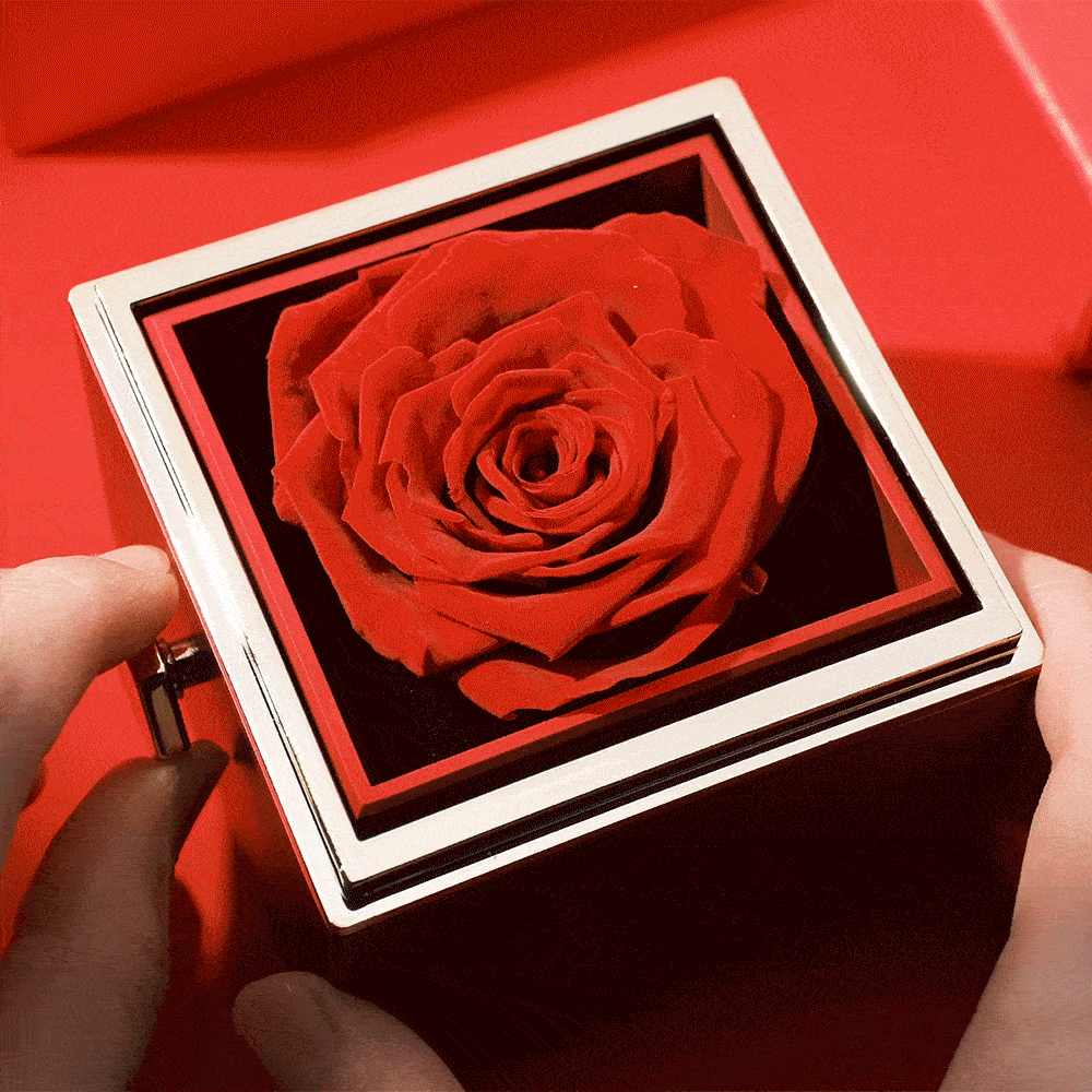 Rose Éternelle Boîte & Projection Photo Collier Coeur Collier Cadeau Pour Les Amoureux - soufeelfr