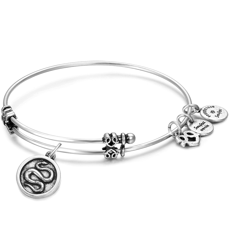 Bracelet Personnalisé Bracelet Charm à Serpent