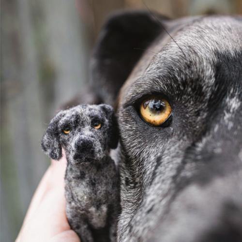 Portrait De Chien Sur Mesure, Cadeau De Perte D'animal De Compagnie Pour Les Amoureux Des Chiens Et Des Chats, Produit Fini Avec Boîte D'emballage Exquise - soufeelfr