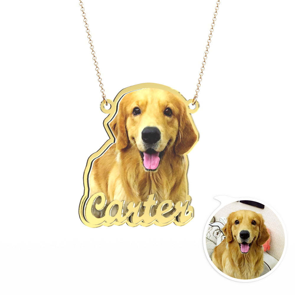 Collier En Or Gravé Avec Photo Personnalisée Cadeau De Collier Pour Animaux De Compagnie Personnalisé Exquis Pour Lui