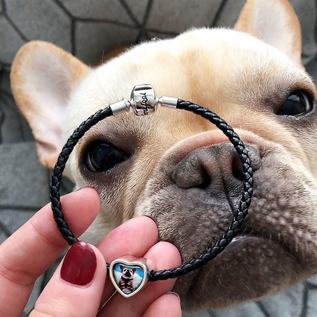 Offre Spéciale Photo Charm Cordiforme Avec crystal Blanc Argent