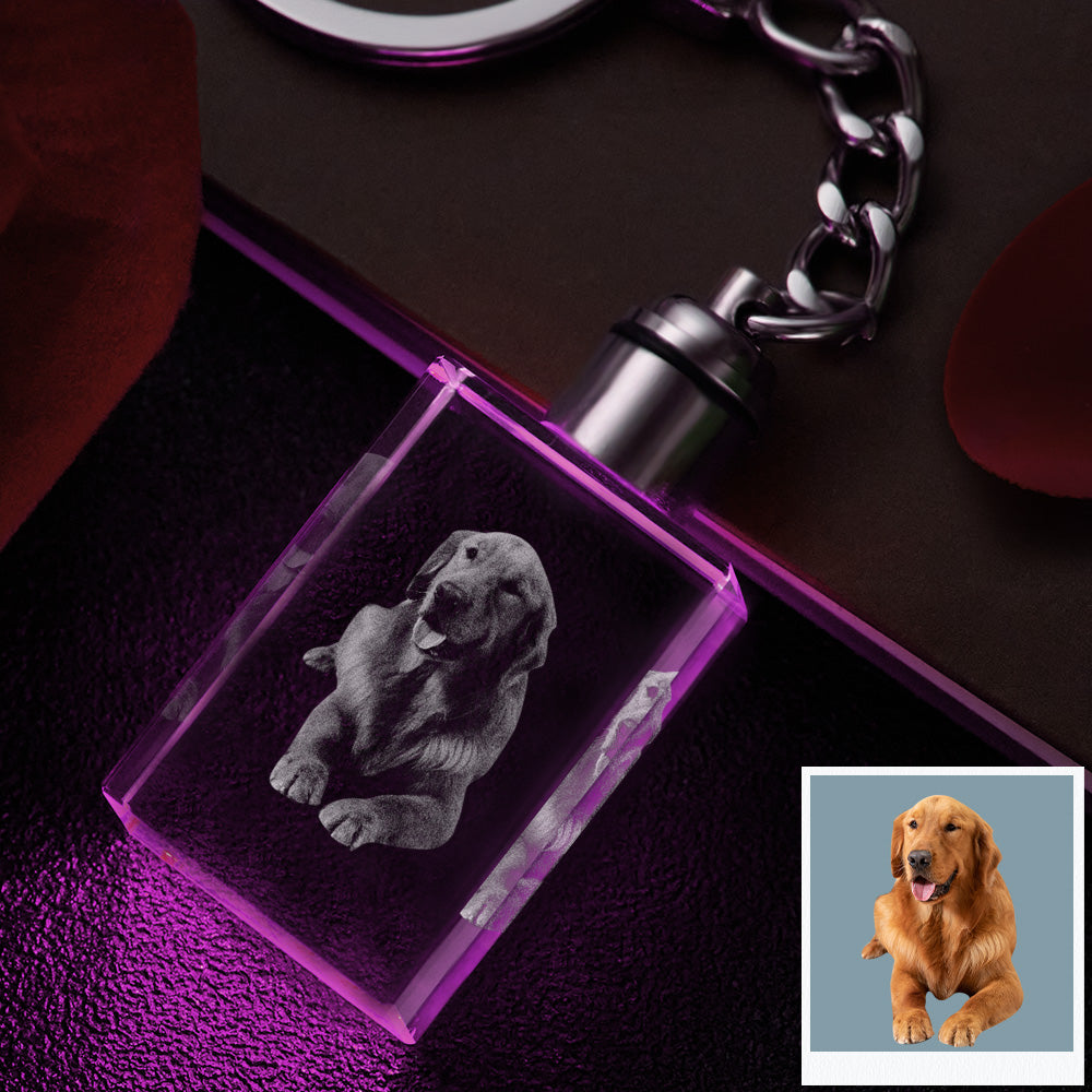 Porte-clés En Cristal Photo Personnalisé Pet Keepake Crystal Keychain Rectangle Shape Photo Keychain - soufeelfr