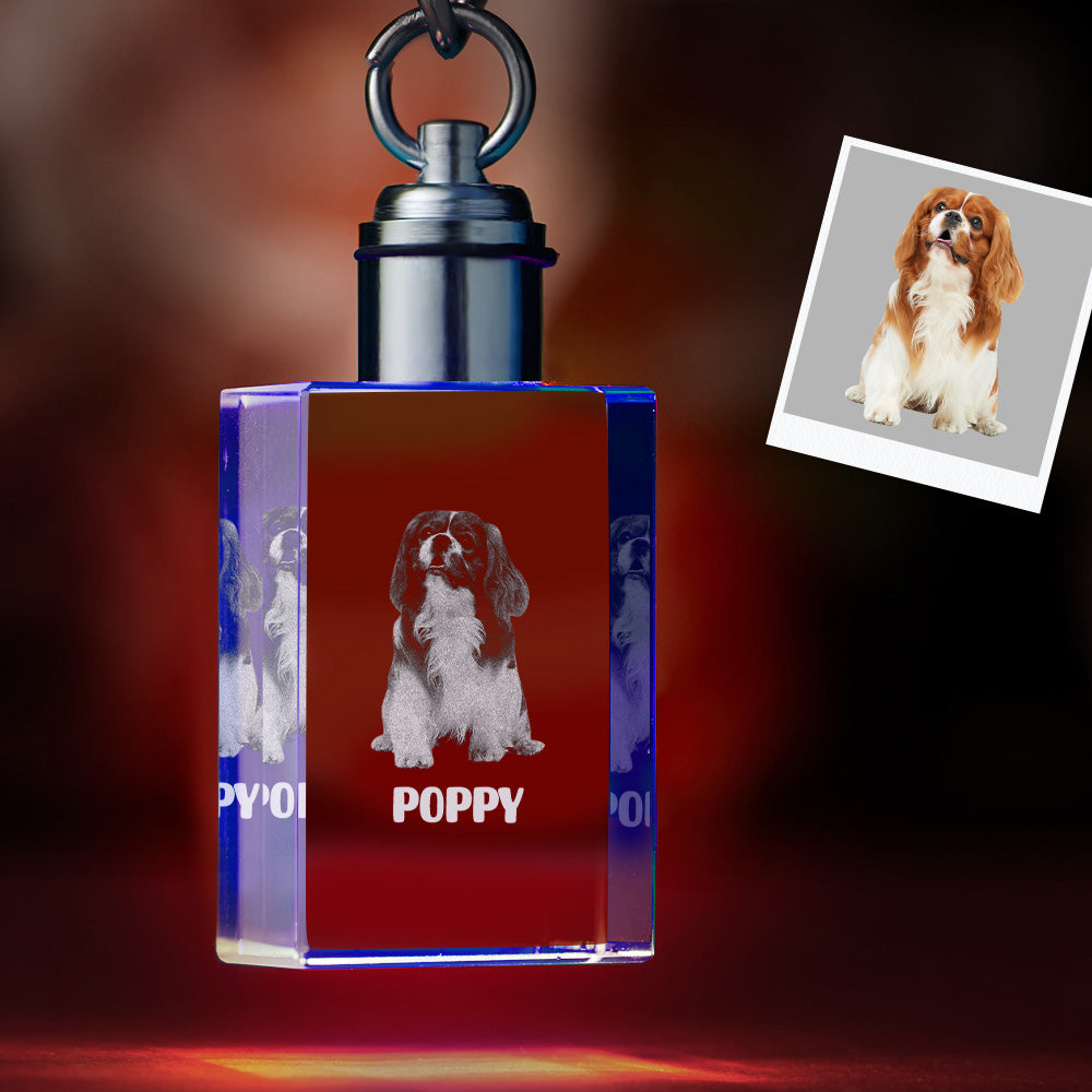 Porte-clés En Cristal Photo Personnalisé Pet Keepake Crystal Keychain Rectangle Shape Photo Keychain - soufeelfr
