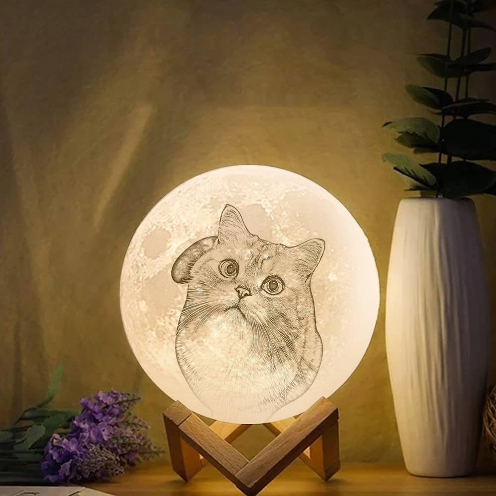 Lampe Photo Lune, Lumière Photo 3d Personnalisée, Animal Mignon - Télécommande Seize Couleurs (10-20cm)