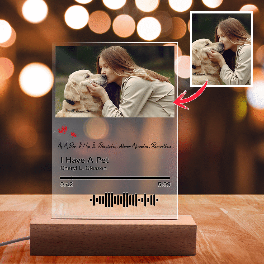 Numérisable Musique Code Lampe Veilleuse Photo Gravé Acrylique Thème Animaux Cadeaux