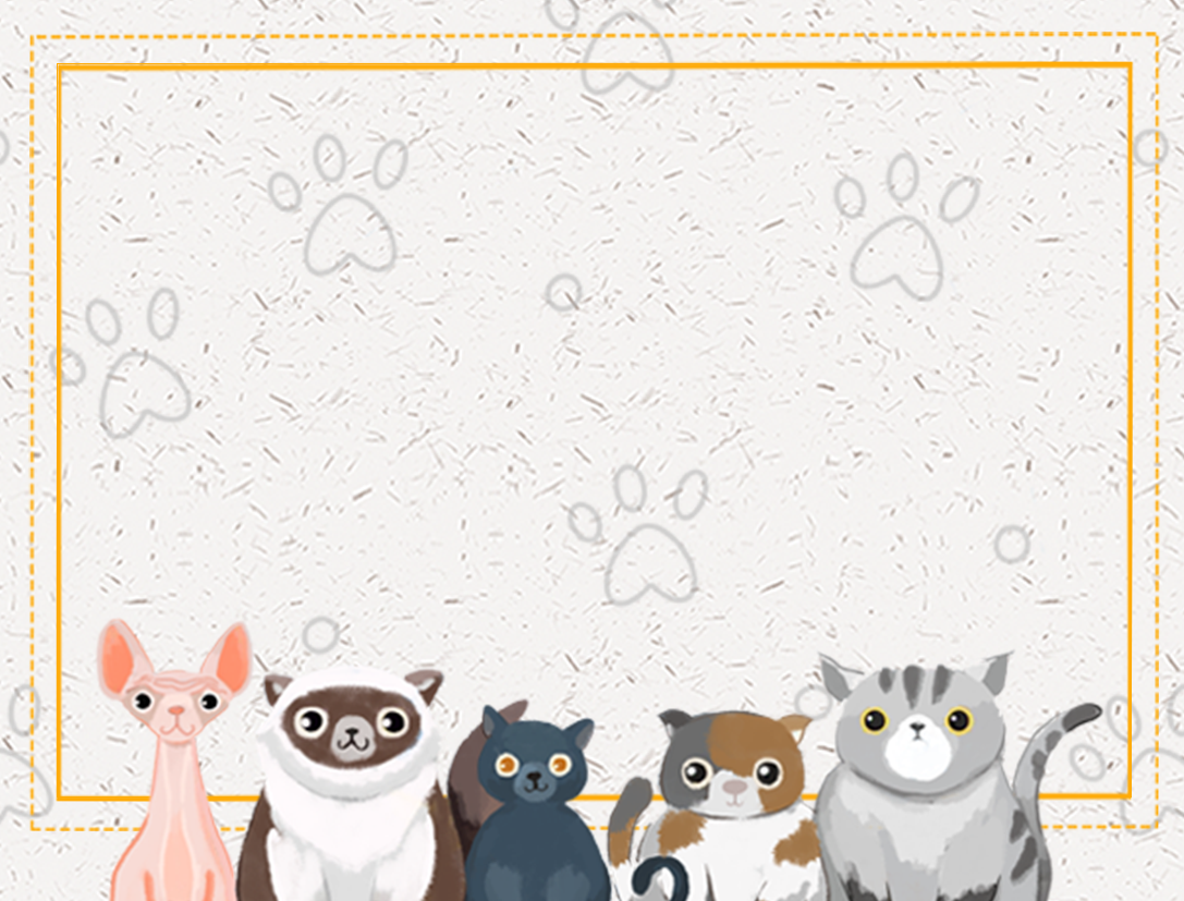 Carte De Voeux Personnalisée Bricolage Avec Plusieurs Styles Pour Les Cadeaux De Carte - soufeelfr