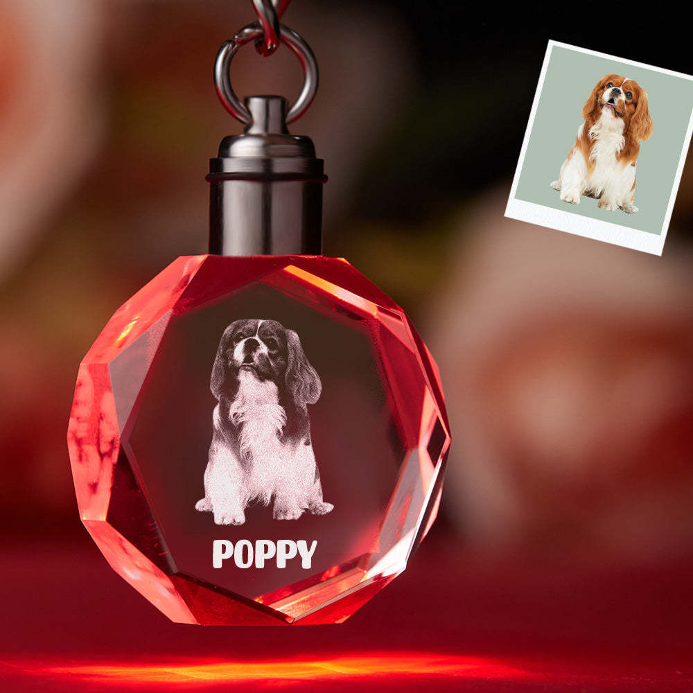 Portachiavi In ​​cristallo Con Foto Personalizzata Portachiavi In ​​cristallo Con Portachiavi Per Animali Domestici A Forma Di Ottagono - soufeelit