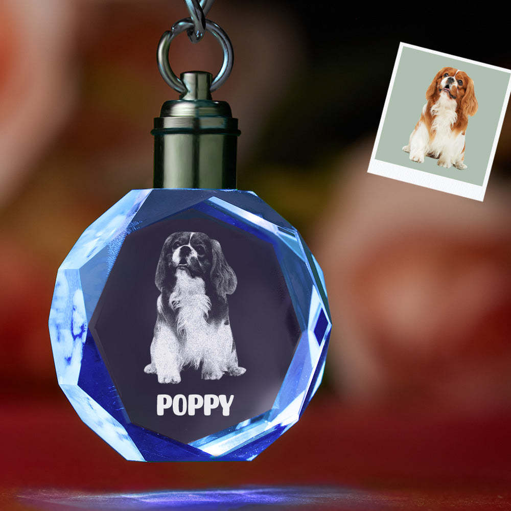 Portachiavi In ​​cristallo Con Foto Personalizzata Portachiavi In ​​cristallo Con Portachiavi Per Animali Domestici A Forma Di Ottagono - soufeelit