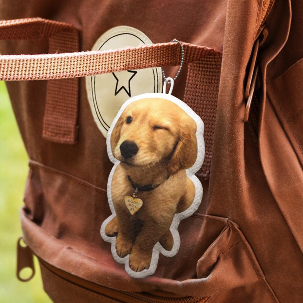 Portachiavi Personalizzati Minime Per Cuscino Per Animali Domestici Portachiavi Con Foto E Nome Regali Per Gli Amanti Degli Animali Domestici - soufeelit