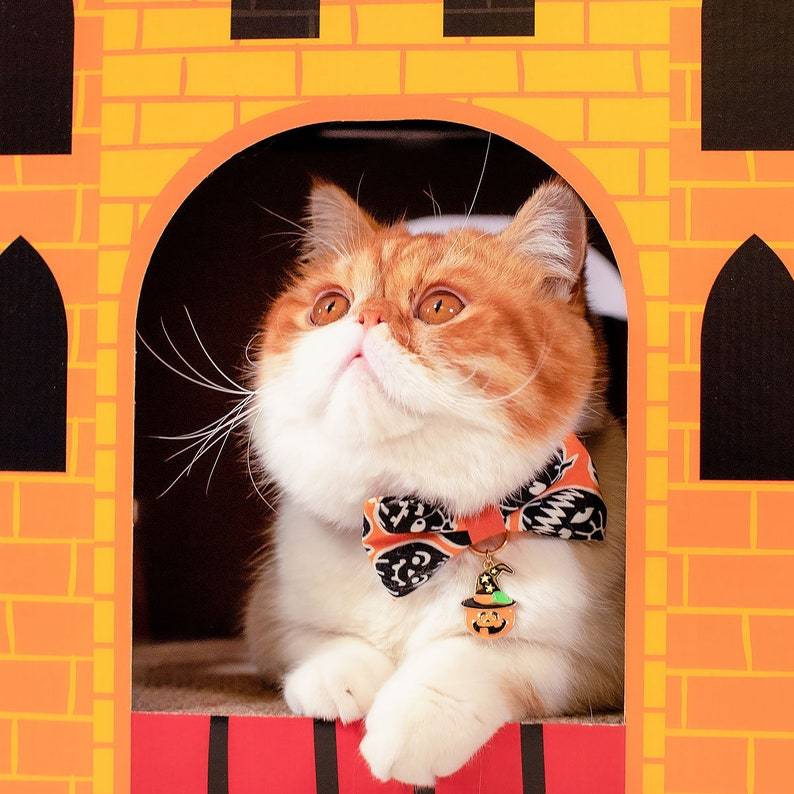 Accessorio Per Collare Per Animali Domestici Fascino Per Animali Domestici Fascino Per Collare Di Gatto Fascino Per Collare Di Cane Fascino Per Halloween