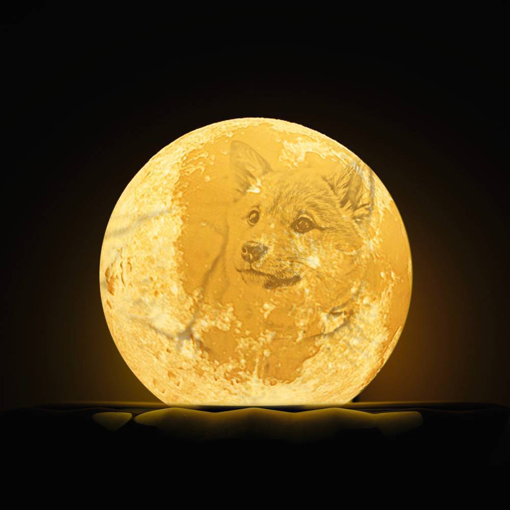 Lampada Moon Photo, Lampada Photo 3D personalizzata, Lampada Moon Dog carino - Tocca due colori 15cm-20cm Valido