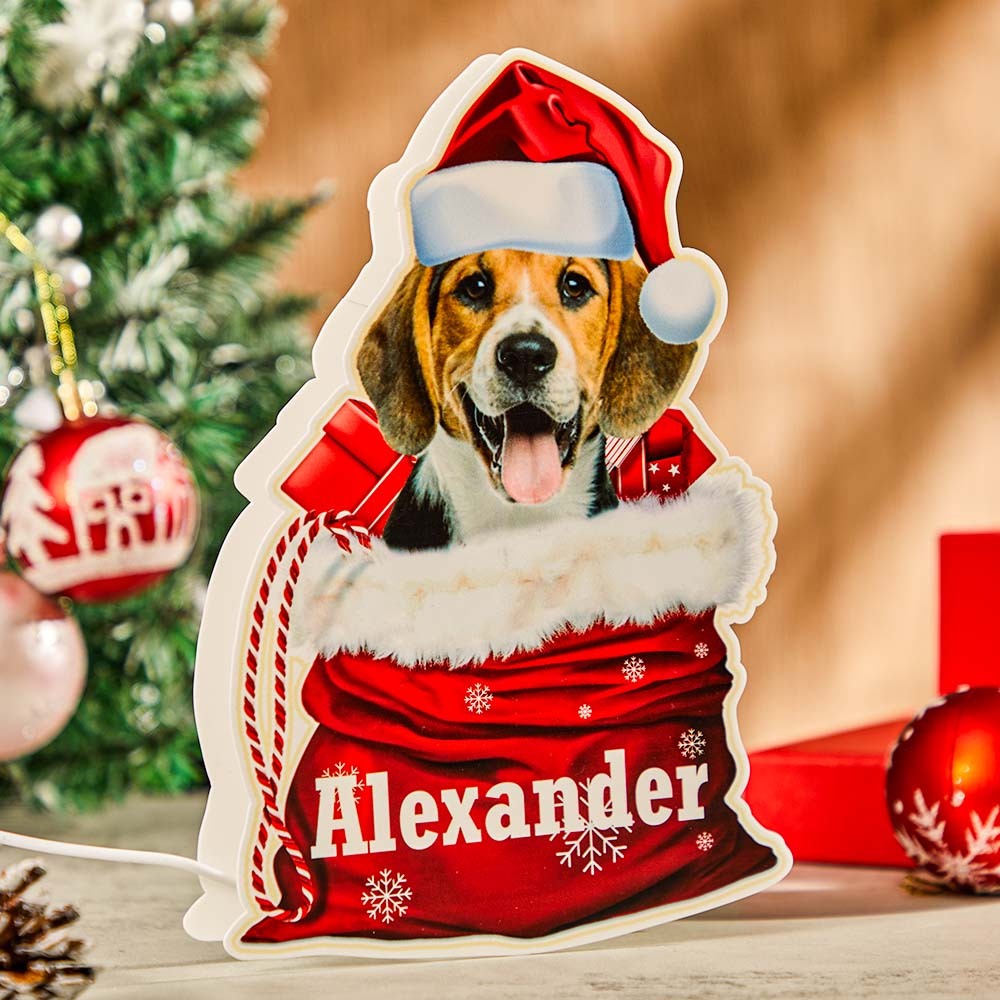Luce Notturna Personalizzata Per Animali Domestici Foto Personalizzata Cesto Regalo Di Natale Lampada - soufeelit