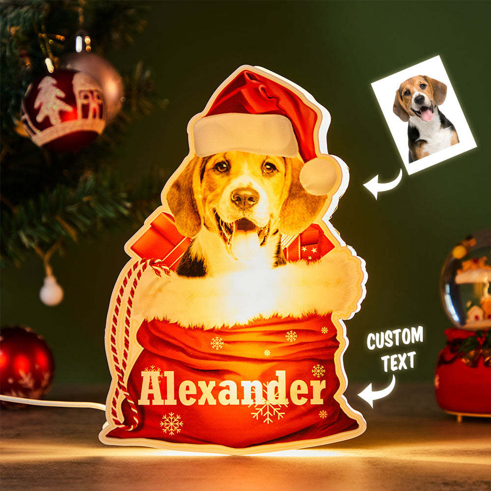Luce Notturna Personalizzata Per Animali Domestici Foto Personalizzata Cesto Regalo Di Natale Lampada - soufeelit