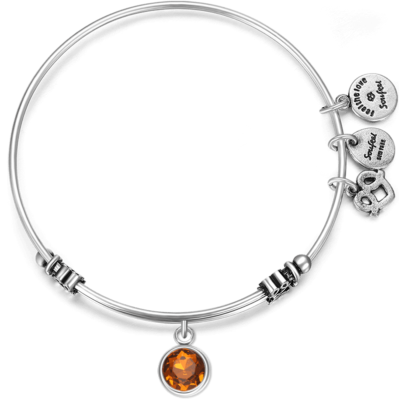 Pulseira Personalizada Novembro Pedras Zodiacais Pulseira com Berloque Banhado a Prata