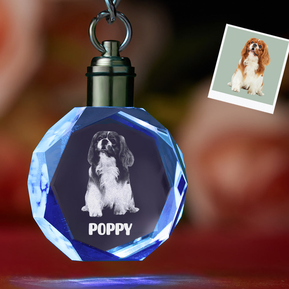 Chaveiro De Cristal Com Foto Personalizado Lembrança De Animal De Estimação Chaveiro De Cristal Em Forma De Octógono Chaveiro Com Foto - soufeelbr