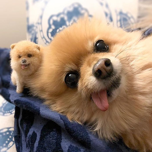 Cachorro De Feltro De Agulha Personalizado, Retrato De Animal De Estimação De Escultura De Cachorro, Presente Para Amantes De Animais De Estimação Com Caixa De Embalagem Requintada Grátis - soufeelbr