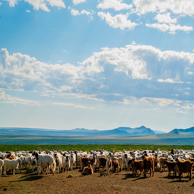 Mongolia