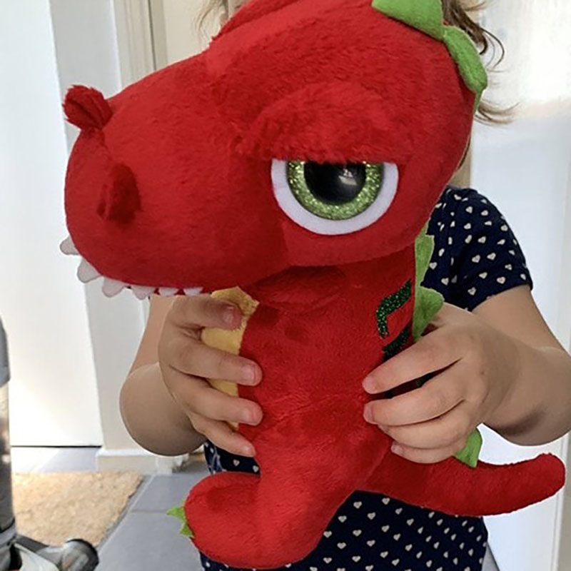 Personalised T-Rex Dinosaur Soft Toy Kids Gifts