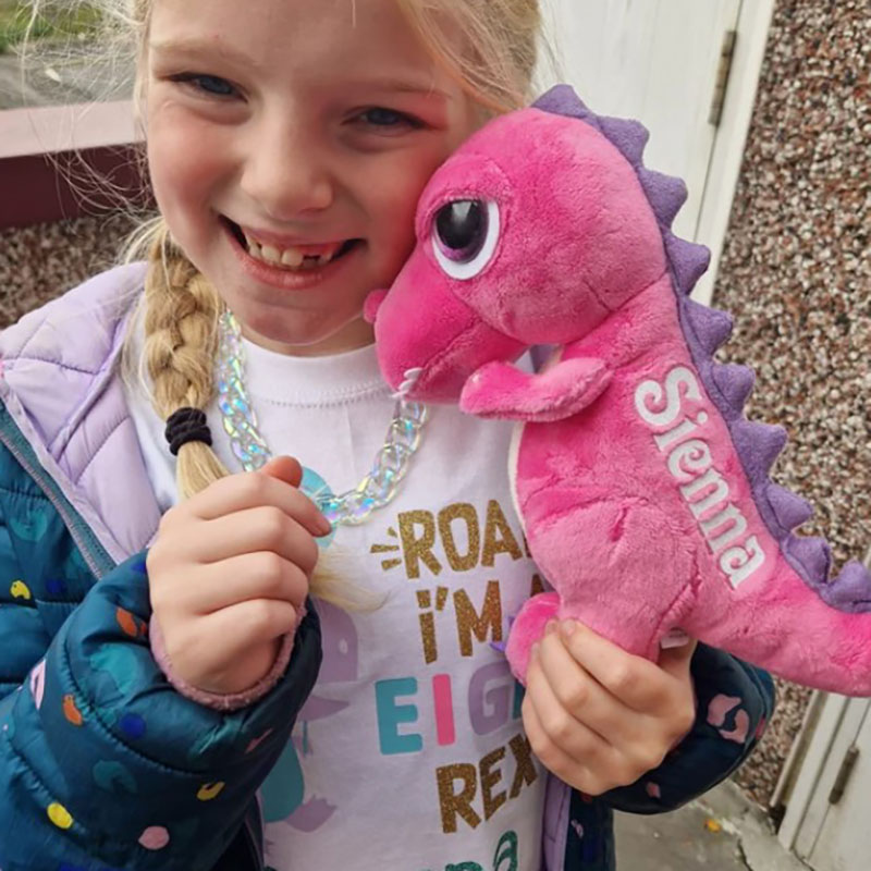Personalised T-Rex Dinosaur Soft Toy Kids Gifts