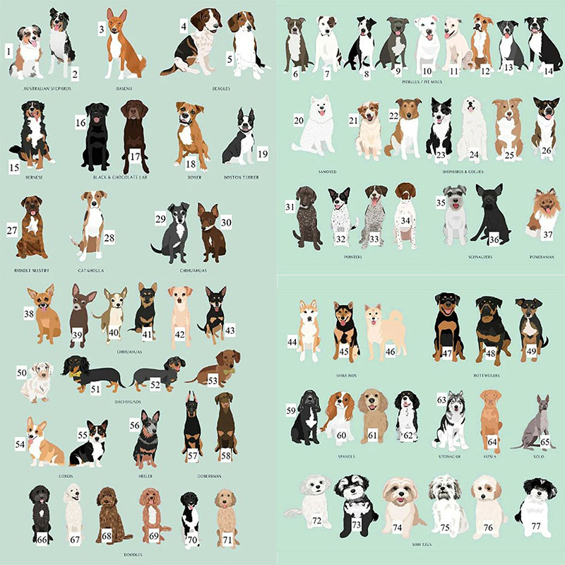 Customization Loved and Protected By Dogs Baby Shower Gift