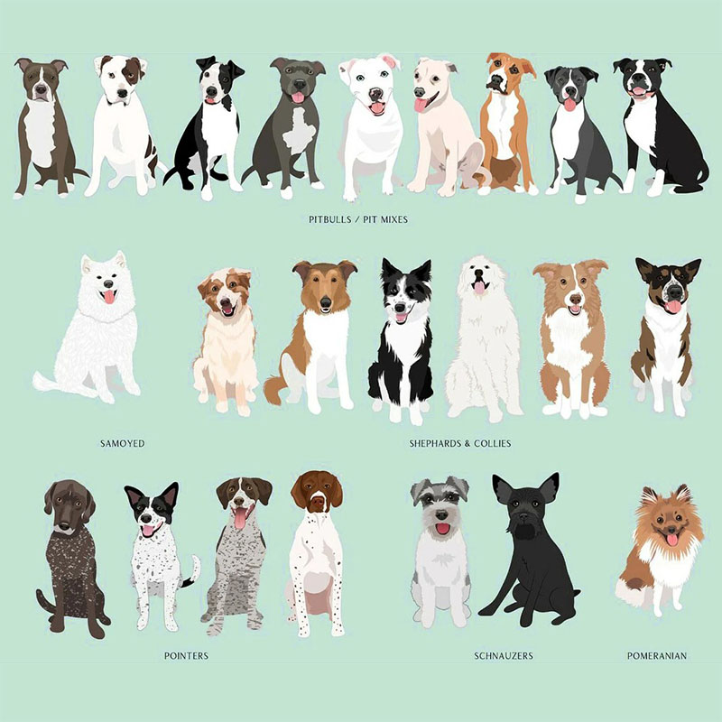 Customization Loved and Protected By Dogs Baby Shower Gift