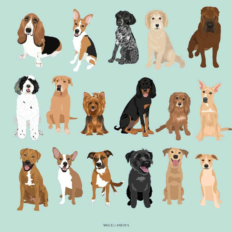 Customization Loved and Protected By Dogs Baby Shower Gift