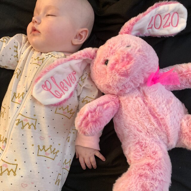 Personalized Embroidered Bunny, Custom Plush Animal, Name on Ear