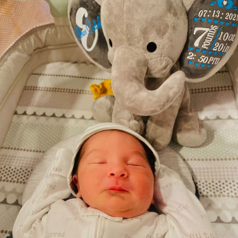 Birth Stat Elephant, Personalized Elephant, New Baby Gift