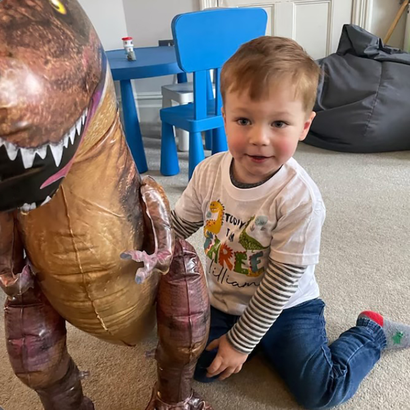 Personalised Dinosaur Birthday T-Shirt Any Name Any Age Colourful Dinosaurs