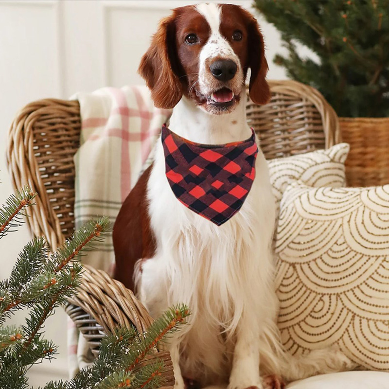 Ho Ho Ho Reindeer and Red Plaid Dog Scarf Family Christmas