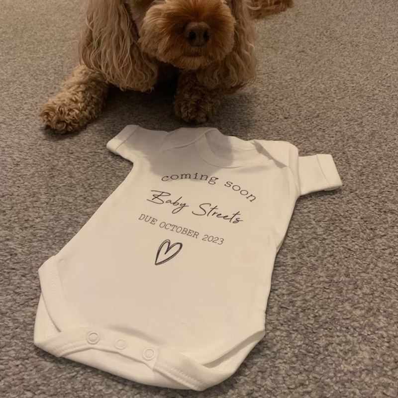 Custom Baby Announcement Bodysuit Coming Soon Surname Due Date Pregnancy gift reveal