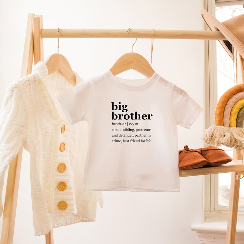 Funny Big Brother Shirt, Big Brother Definition Shirt, Partners in Crime