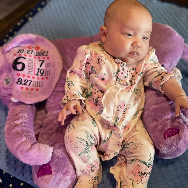 Elephant HUGE Stuffed Elephant Baby Shower Gift