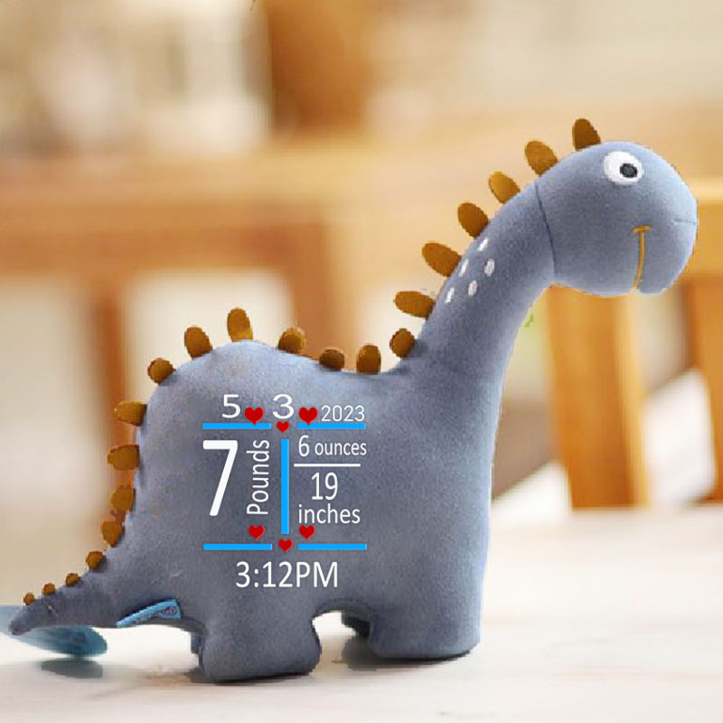 Personalized Cute Dinosaur Plush Toy with Name and Birth Infor