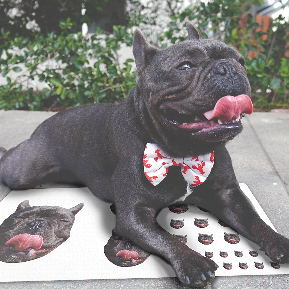 Custom Big Face Sticker Sheet Pet Dog