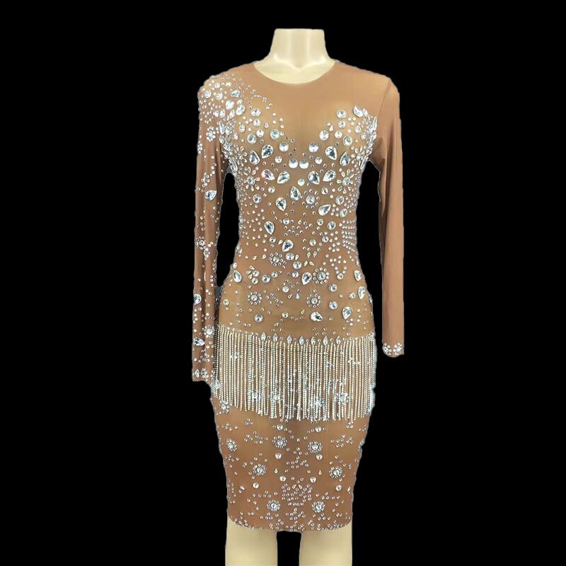 Bright Silver Crystals Chains Rhinestones Long Sleeves Tan Dress Stretch Transparent Stones Costume Evening Celebrate