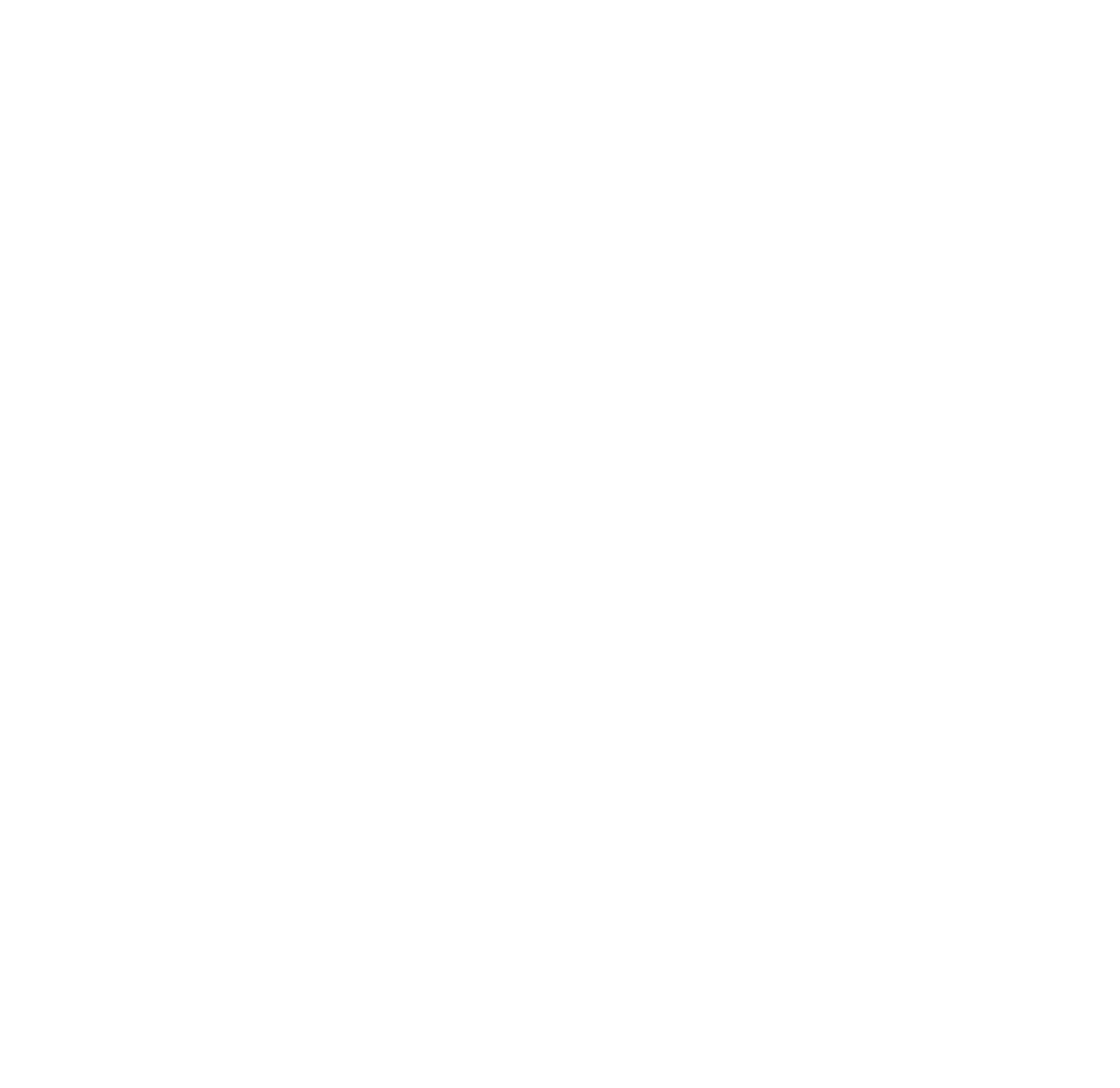 FLYWOO