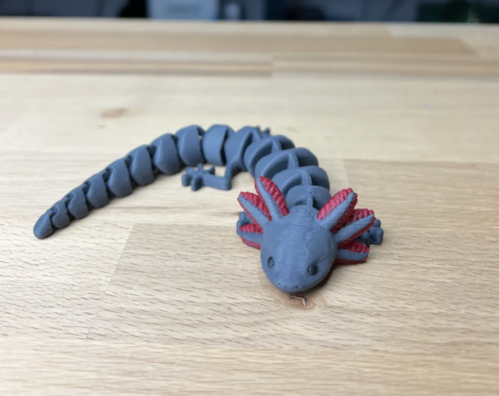 3D Printable Axolotl (Mexican Walking Fish) Ambystoma mexicanum by  Hellbender Museum