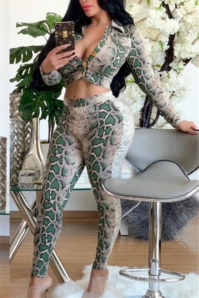 fashion-v-neck-top-snakeskin-two-pieces