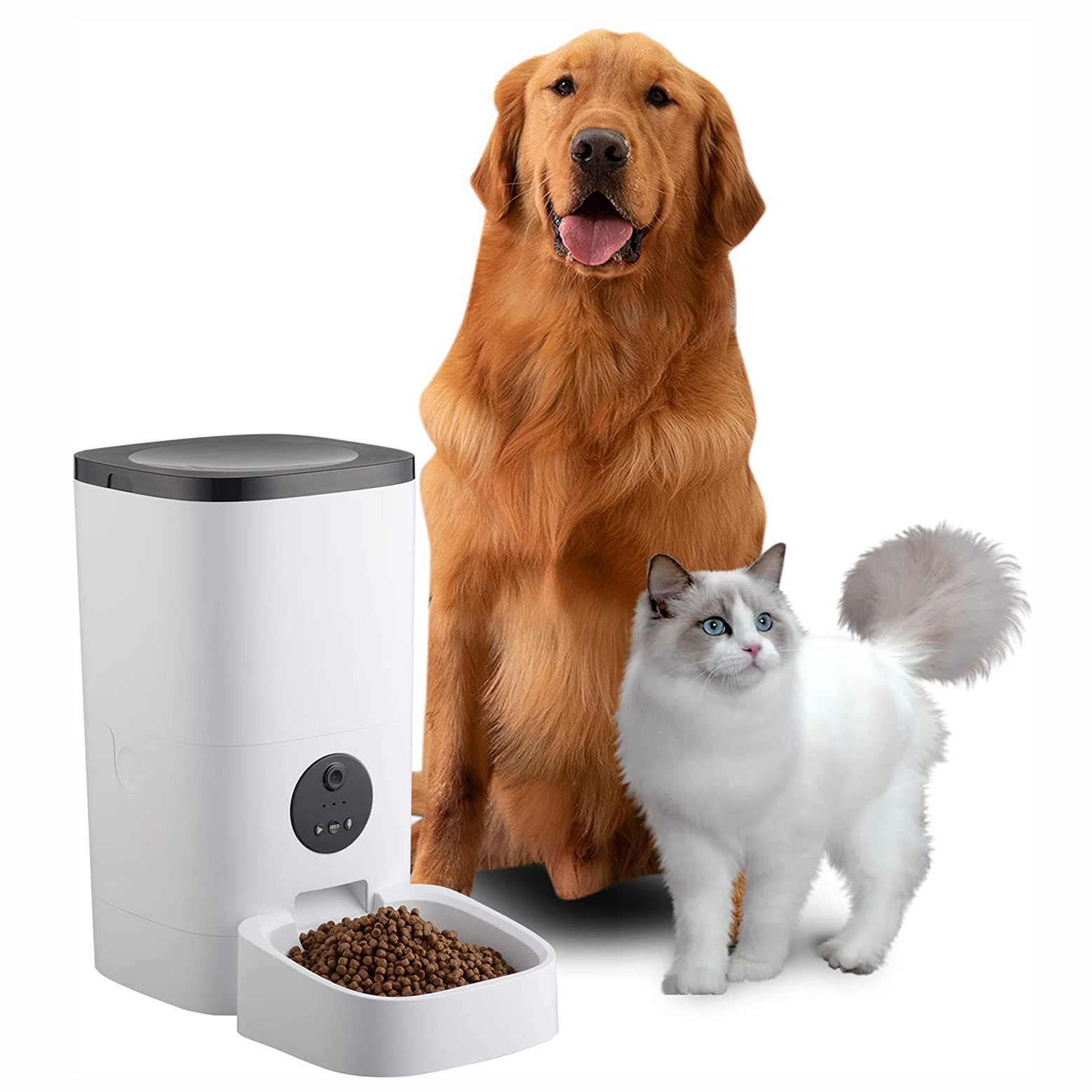 Automatic Pet Feeder
